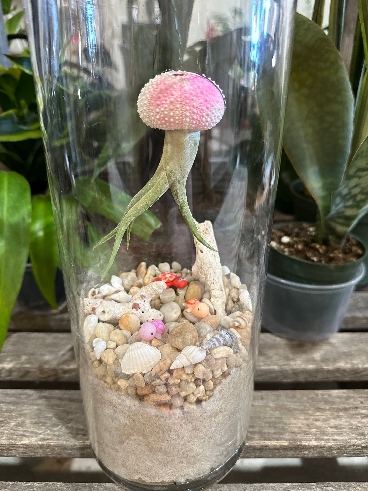 Little Gardeners: air plant jelly fish "faux-quarium" drop in event 8/23/25