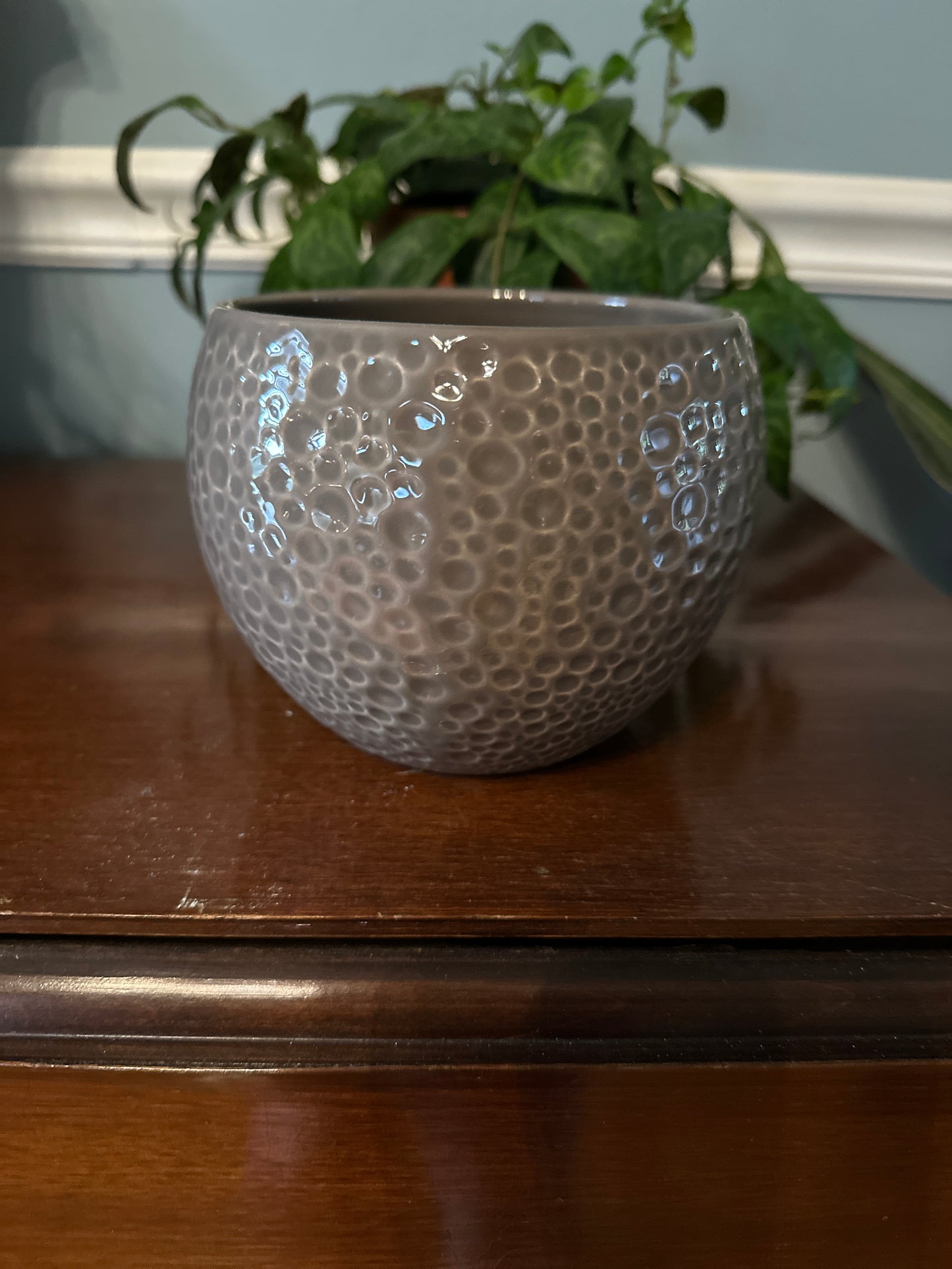 5" grey bubble planter