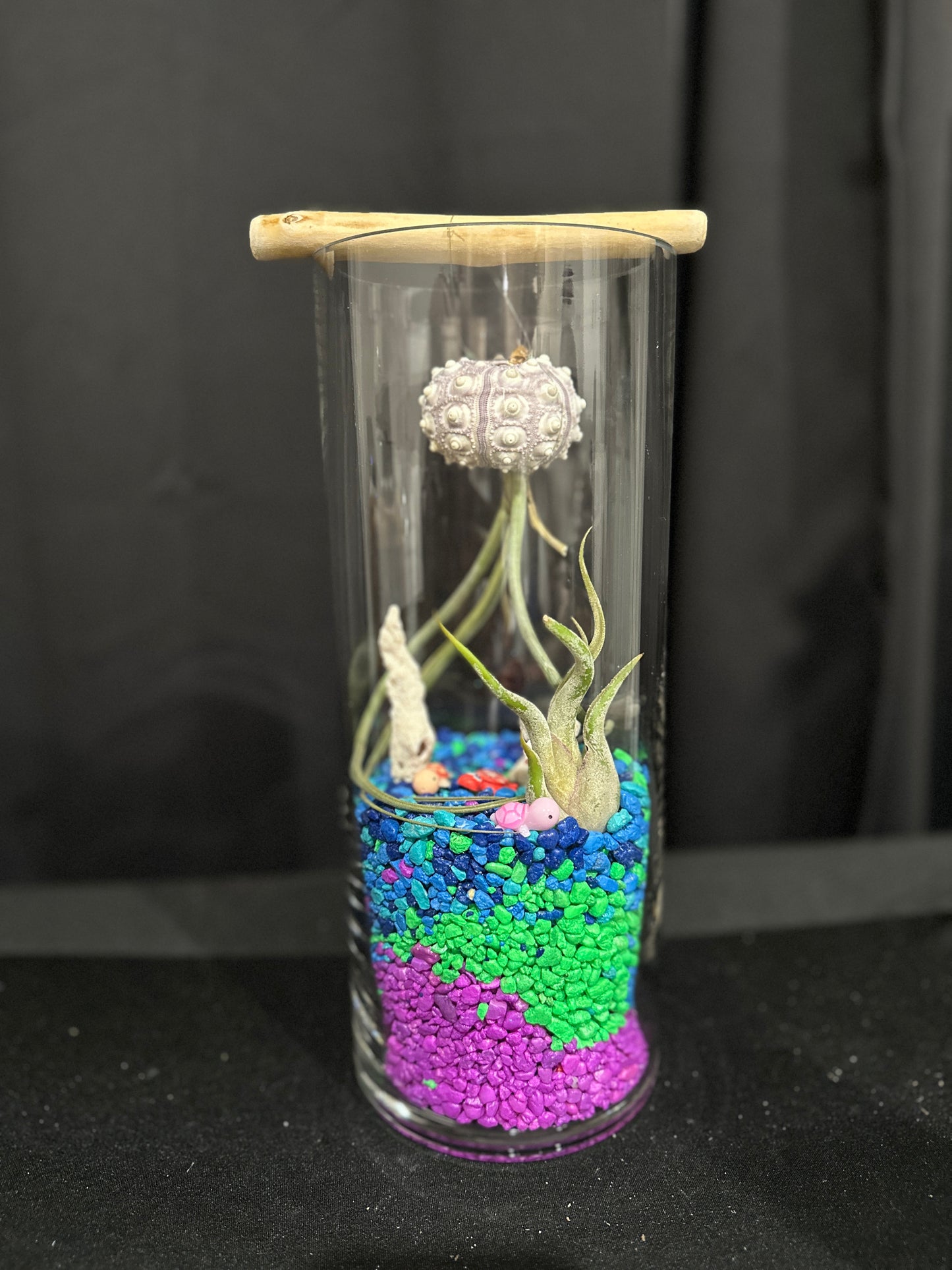 Little Gardeners: air plant jelly fish "faux-quarium" drop in event 8/23/25