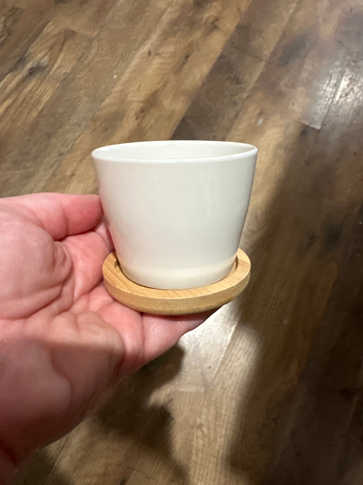 2.5” white ceramic planter with bamboo saucer