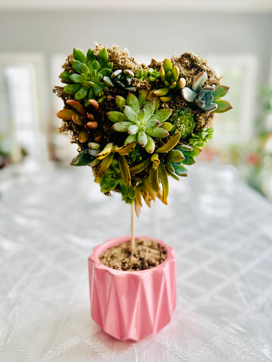 Succulent heart topiaries at Devils Due Distillery