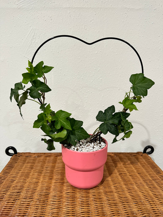 Galentine’s Ivy heart topiary workshop 2/3/24, Martinsburg, WV