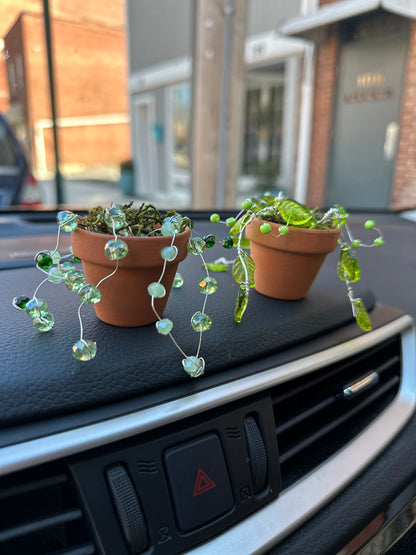 Beaded succulent sun catchers