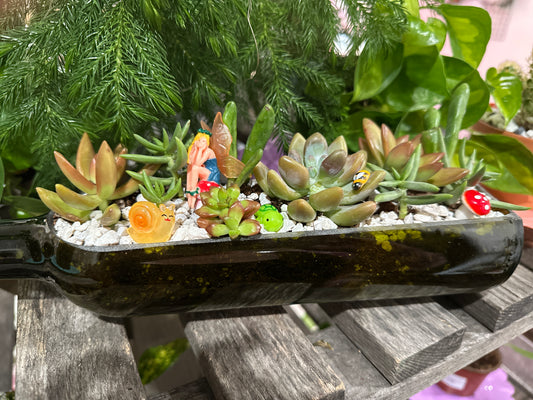 Wine bottle terrariums 9/19/25