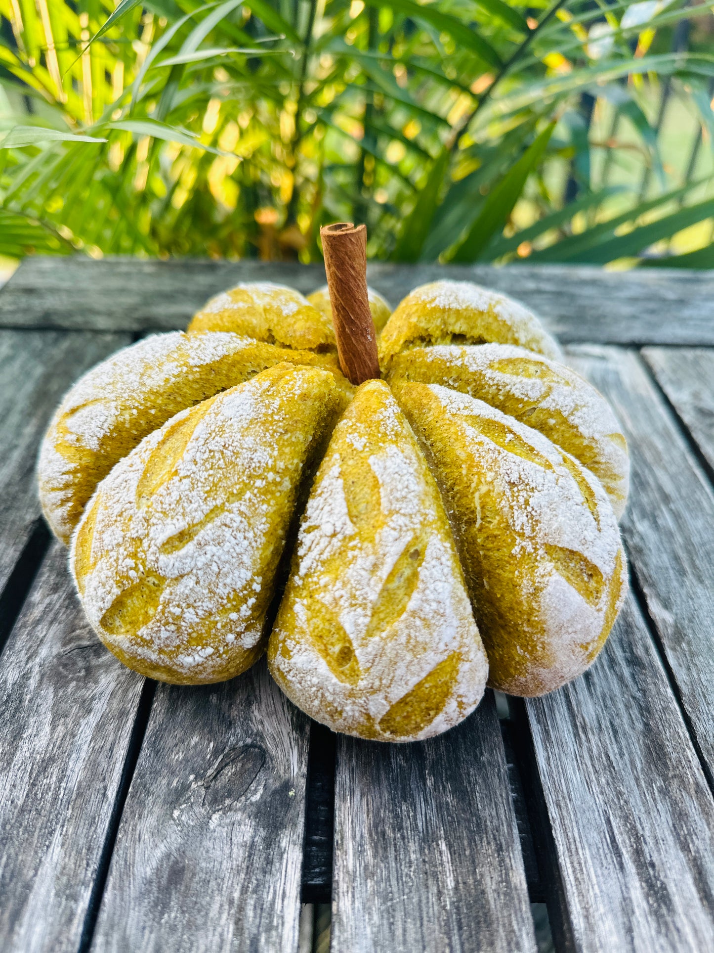 Pumpkin sour dough for beginners at Flannel On Main 10/9/24