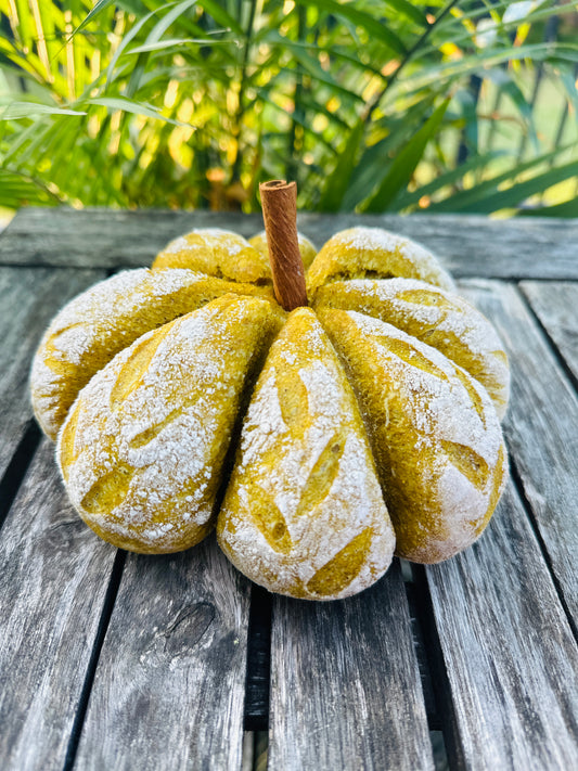 Pumpkin Sour Dough For Beginners 10/10/24