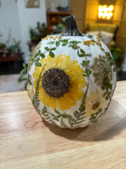 Pressed Flower Pumpkins at Dirt Farm Brewing