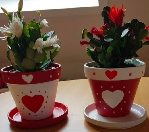 Galentine paint and plant with Merely Creative at Wandering Roots 1/31/26