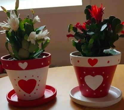 Galentine paint and plant with Merely Creative at Wandering Roots 1/31/26