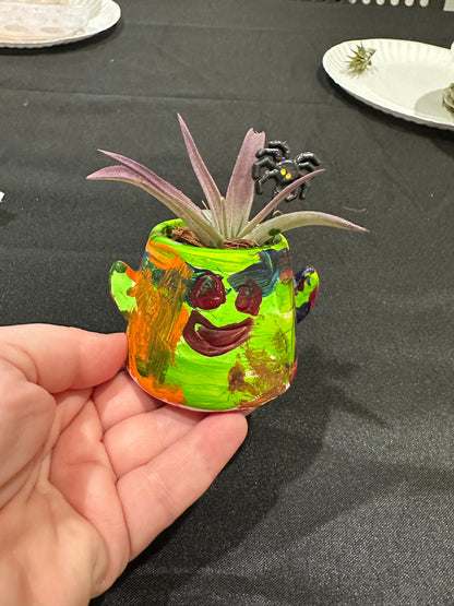Little Gardeners Paint a mini Halloween Planter 10/17/26