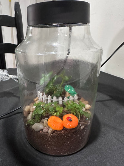 Terrarium Lamps 5/15/26