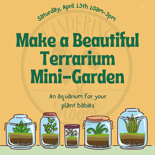 Build your own Terrarium