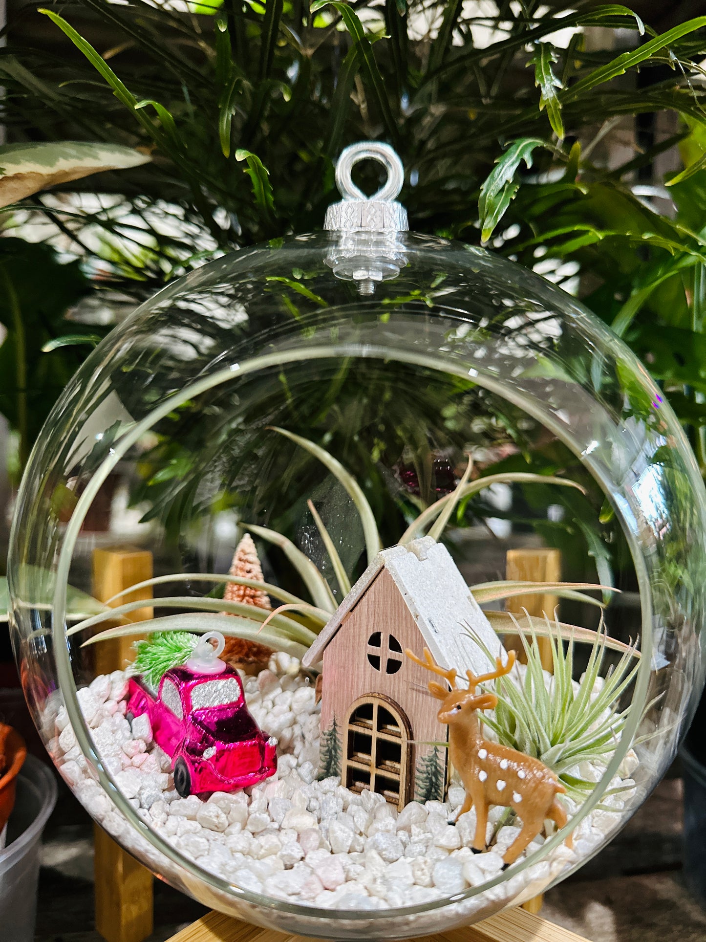 Air Plant Terrarium Ornament