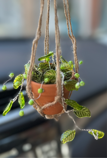 Beaded succulent sun catchers