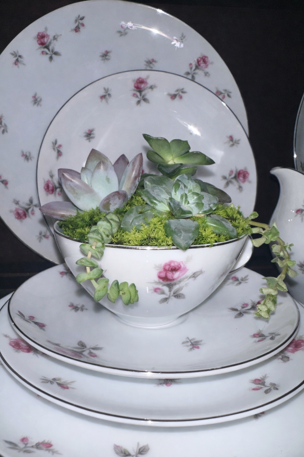 Succulents & Society: A Bridgerton inspired tea Party 5/31/26