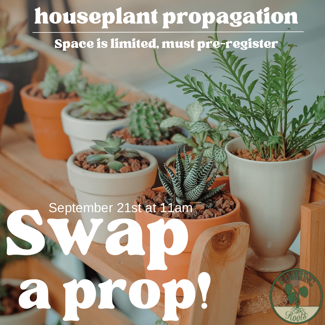 Swap a Prop 9/21/24