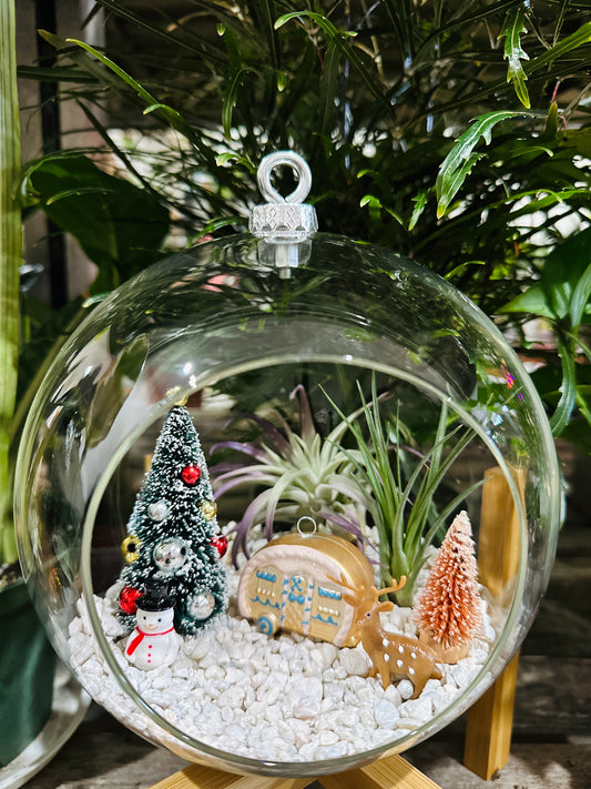 Air Plant Terrarium Ornament