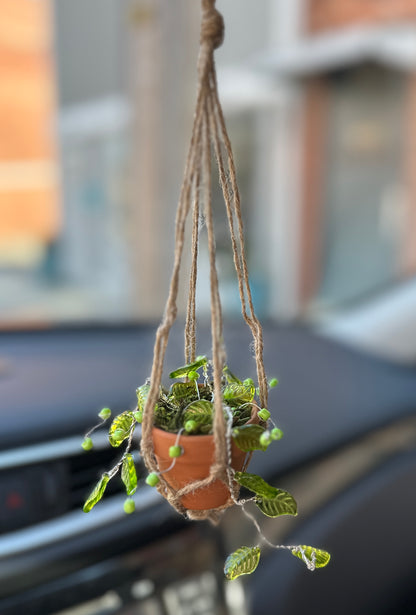 Beaded succulent sun catchers