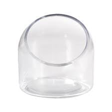 6” Open side dome glass terrarium