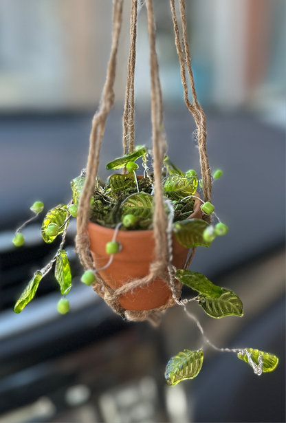 Beaded succulent sun catchers