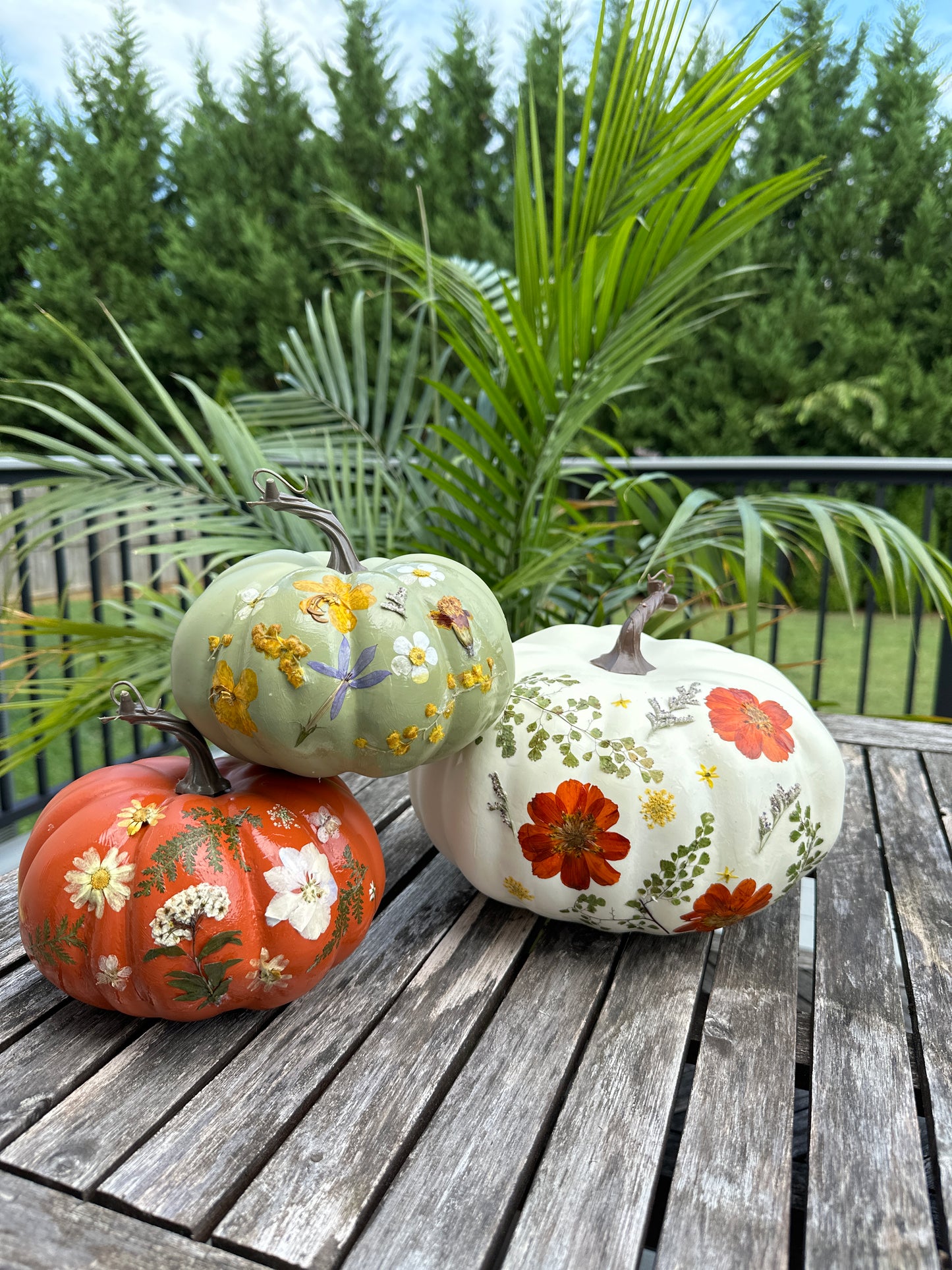 Pressed flower pumpkins (various dates)