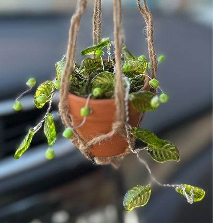 Beaded succulent sun catchers