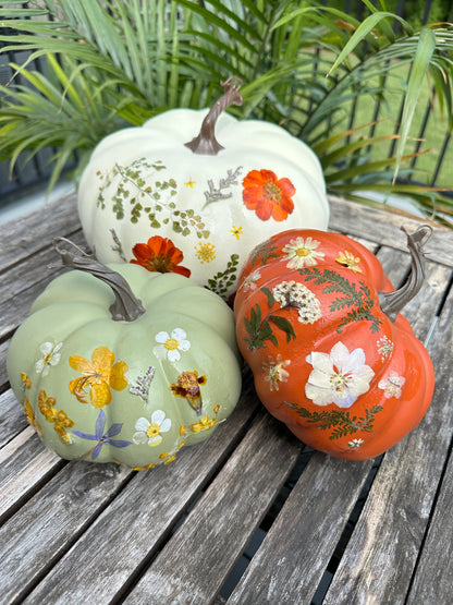 Pressed flower pumpkins (various dates)