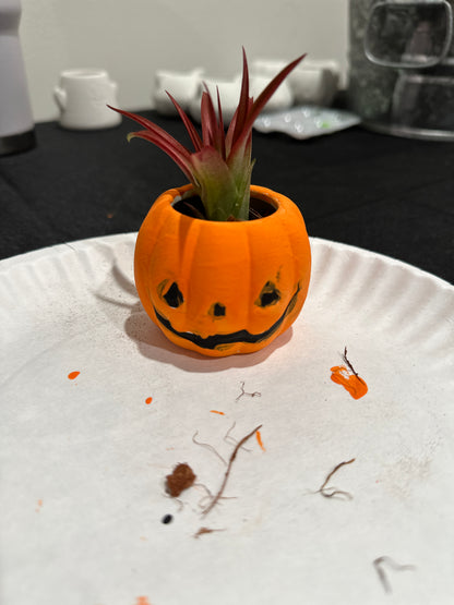 Little Gardeners Paint a mini Halloween Planter 10/17/26