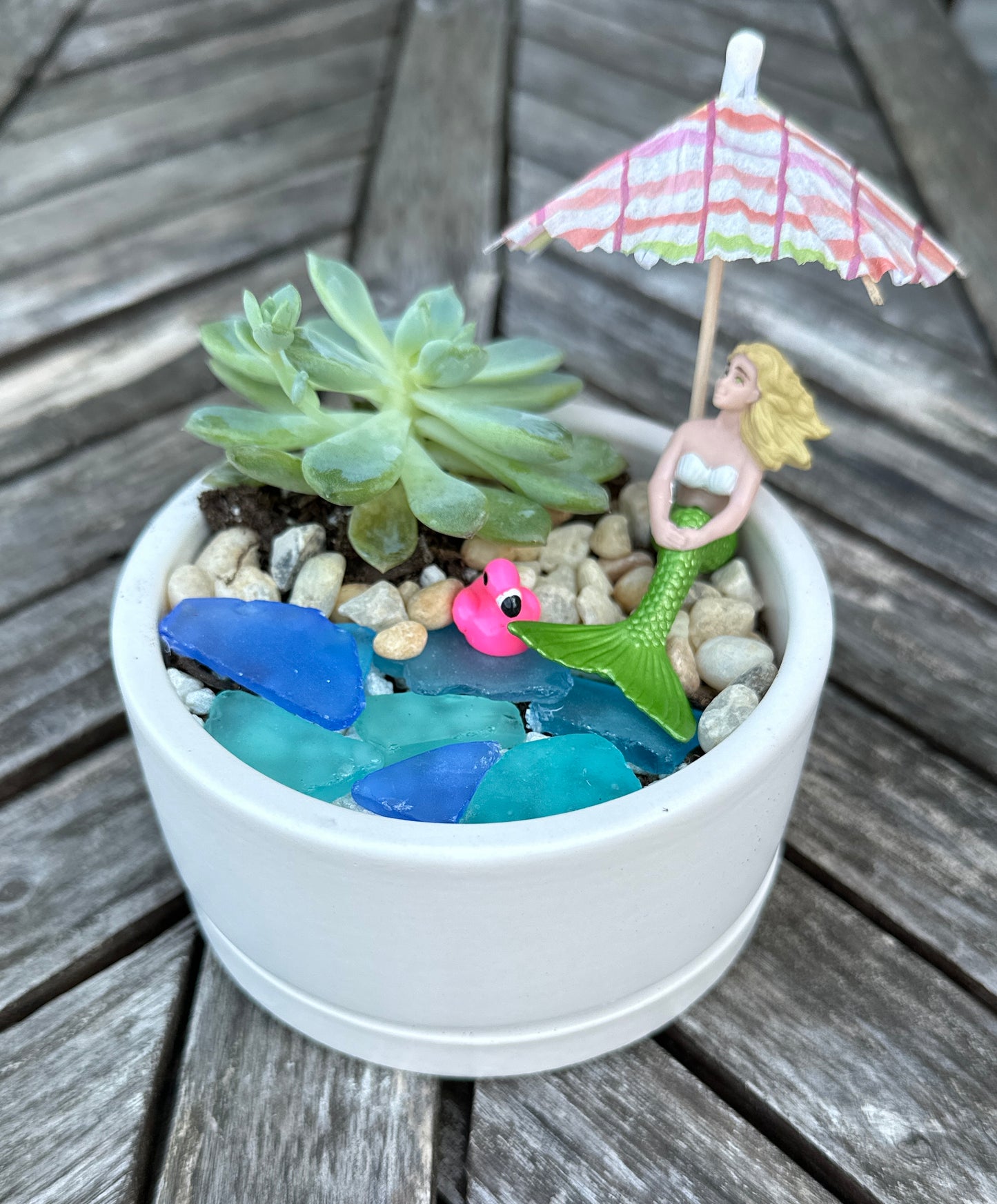 Little Gardener Series: mini whimsical gardens