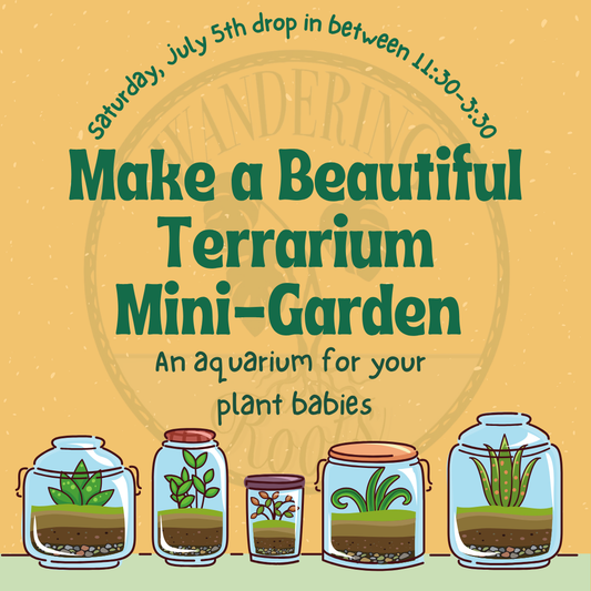 Terrarium drop in event