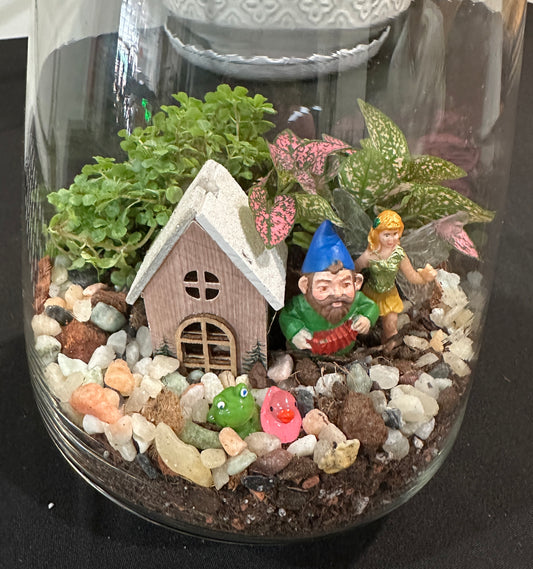 Terrarium Lamps 5/15/26