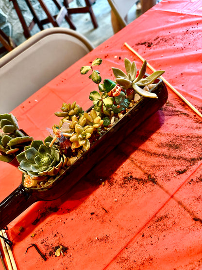 Wine bottle terrariums 9/19/25