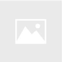 Monstera European Mint 4" Grower Pot