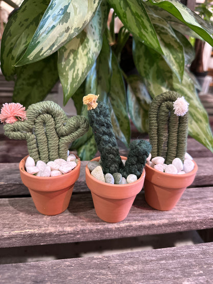 Macrame cacti set