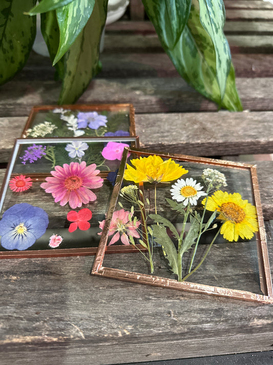 Pressed flower coasters at Devil’s Due Distillery 8/24/25