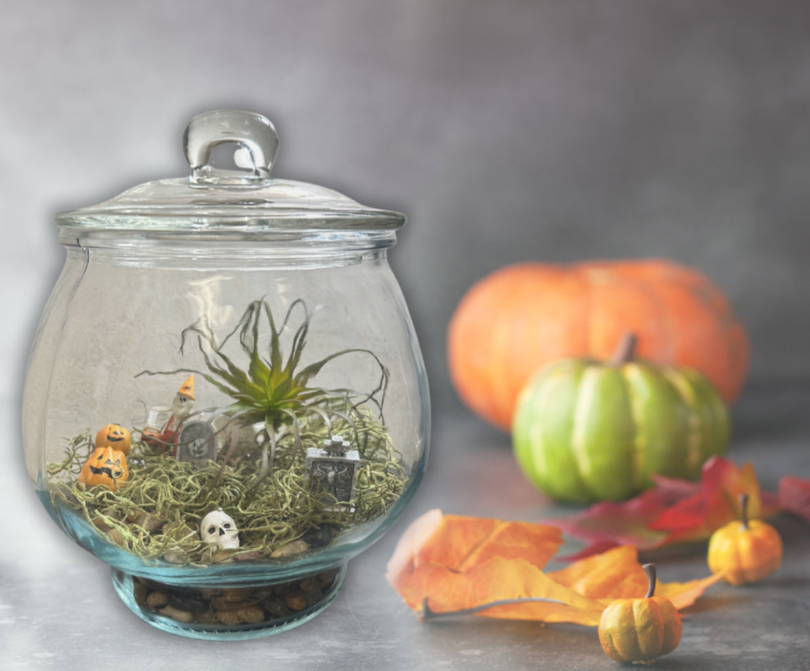 Spooky Terrariums at Flannel on Main 10/22/24