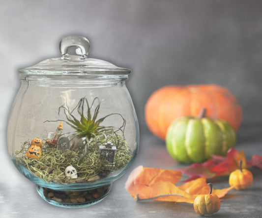 Spooky Terrarium (multiple dates)