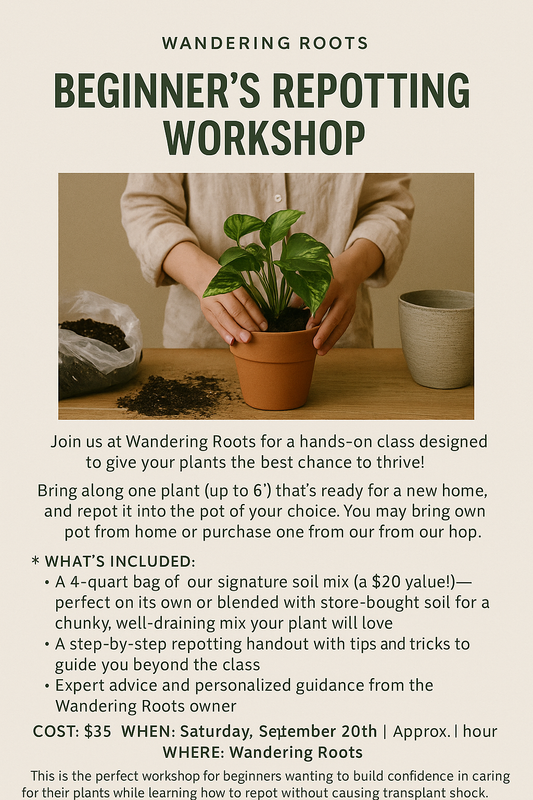 Repotting Class for beginners
