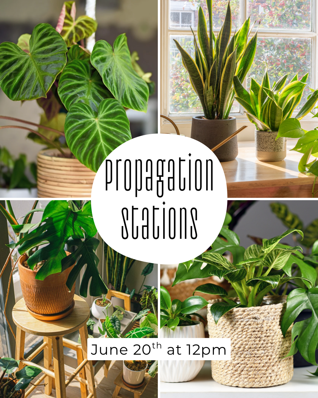Propagation Stations with Adaya at WR 6/20/26