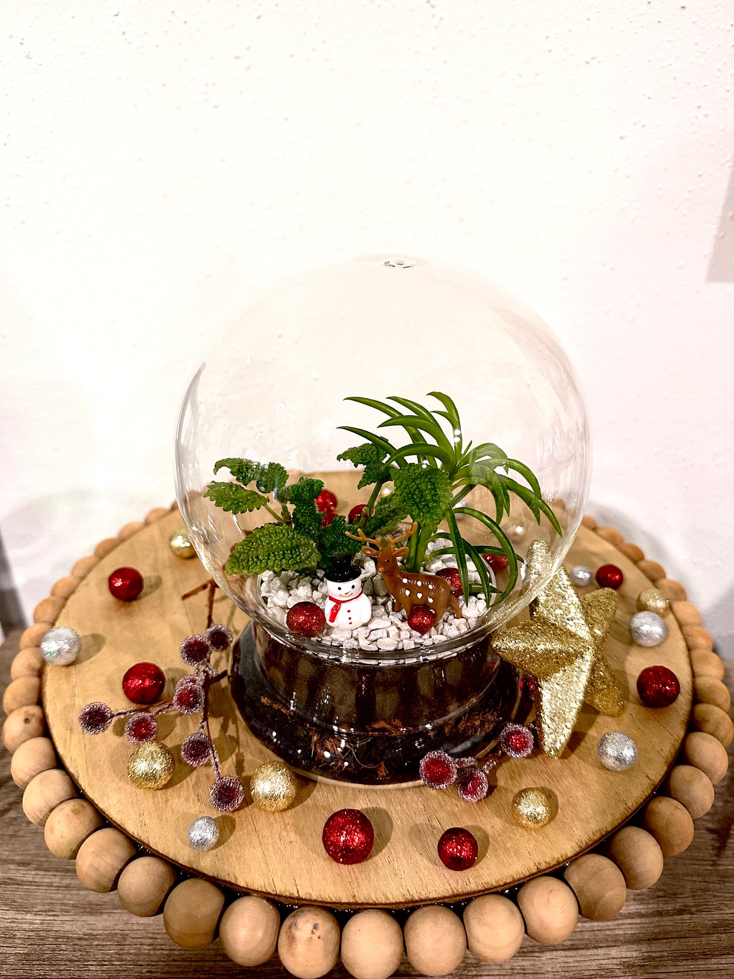 Snow Globe Terrariums at Devil's Due Distillery 1/18/26