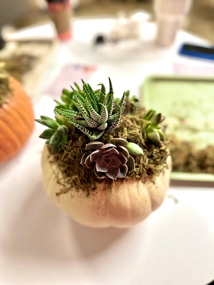Pumpkins and Succulents at Rusty Nail Winery 9/25/25