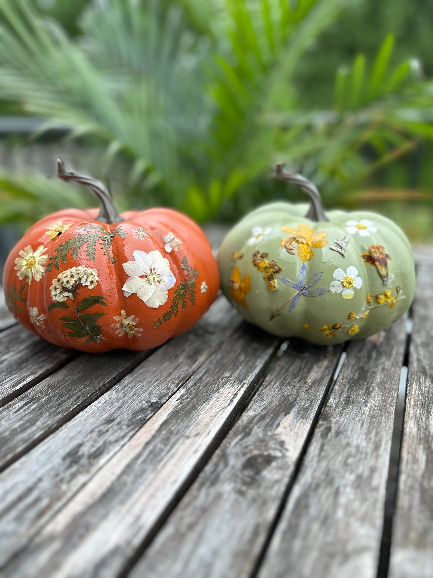 Pressed flower pumpkins (various dates)