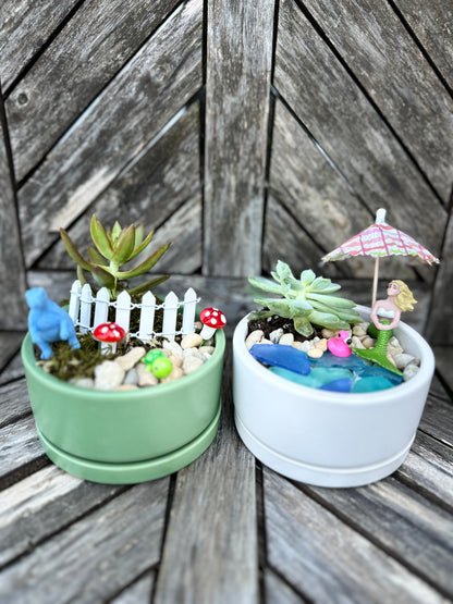 Little Gardener Series: mini whimsical gardens