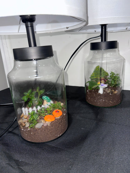Terrarium Lamps 5/15/26