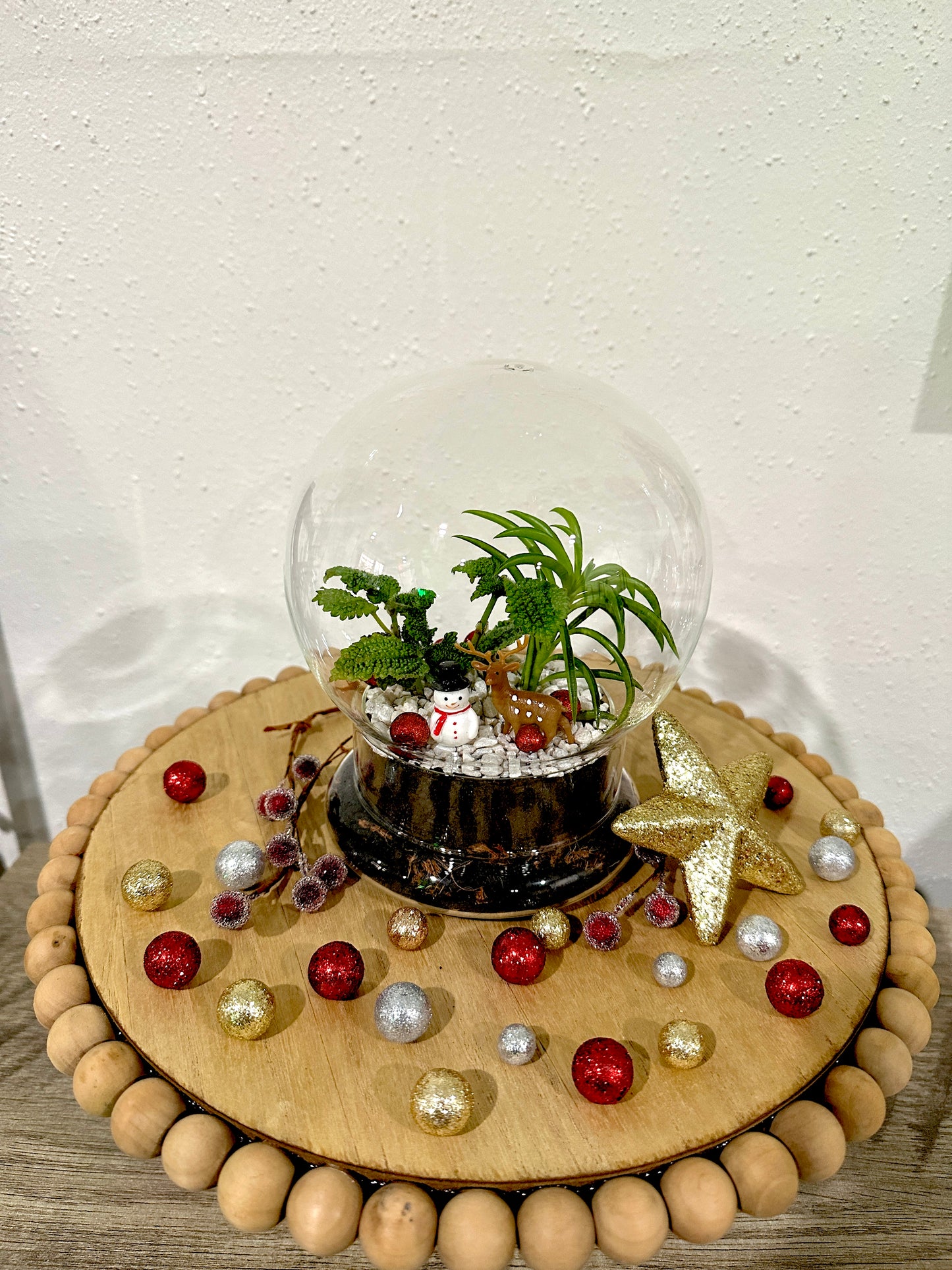 Snow Globe Terrariums at Devil's Due Distillery 1/18/26