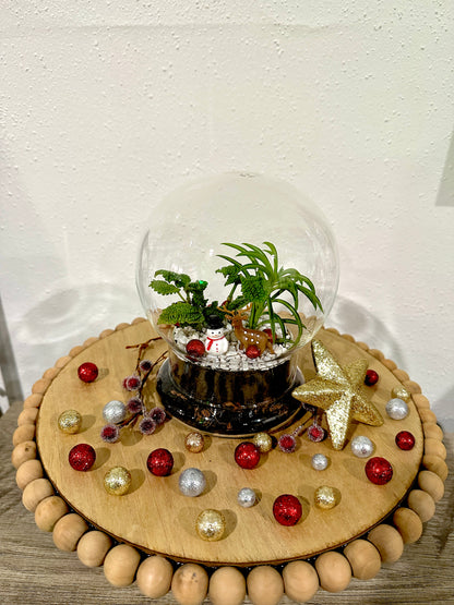 Snow Globe Terrariums at Devil's Due Distillery 1/18/26
