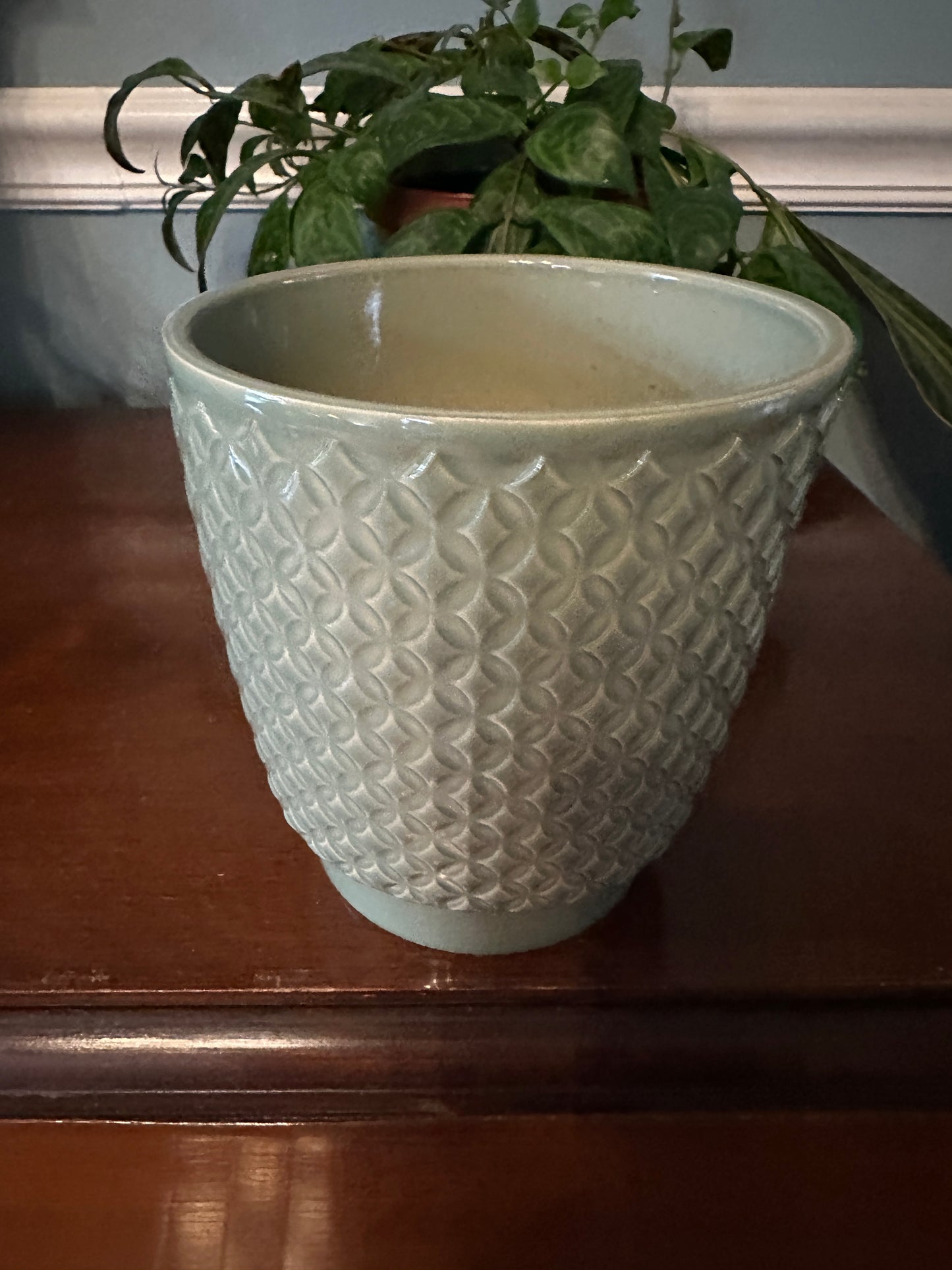 5" sage starlight planter