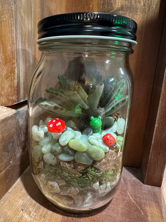 Little Gardeners: terrarium in a jar 5/30/25