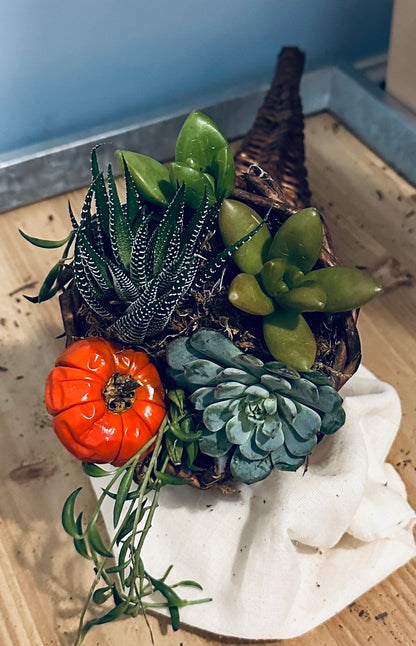 Cornucopia of Succulents