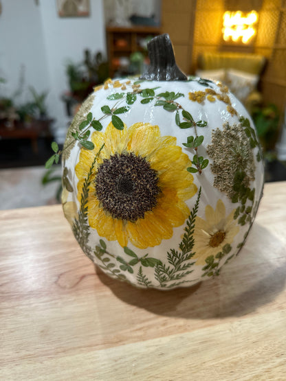 Pressed Flower Pumpkins 9/20/26